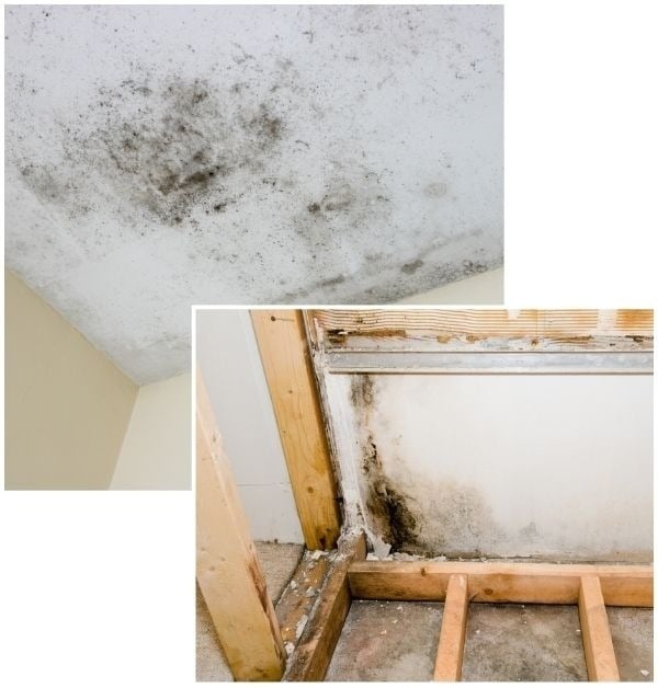 Roof Leak Damage