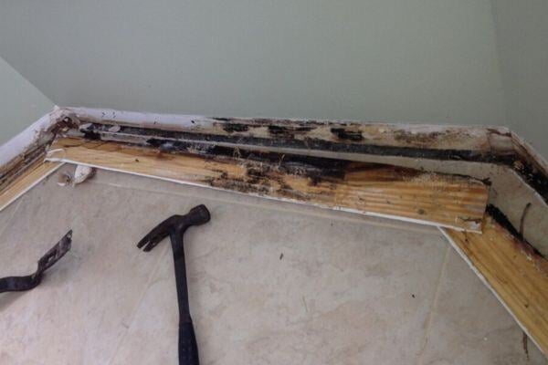 mold